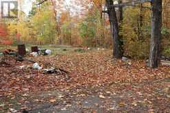 3463 COUNTY ROAD 44 | Havelock-Belmont-Methuen Ontario | Slide Image Seventeen