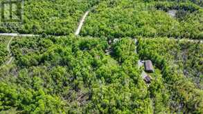 3463 COUNTY ROAD 44 | Havelock-Belmont-Methuen Ontario | Slide Image Nine