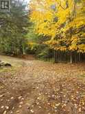 1883 SOUTH ROAD | Addington Highlands Ontario | Slide Image Twelve