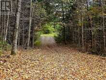 1883 SOUTH ROAD | Addington Highlands Ontario | Slide Image Nine