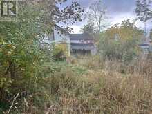 2385 HIGHWAY 7 HIGHWAY | Manilla Ontario | Slide Image Five