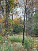 1350 MADILL ROAD | Highlands East Ontario | Slide Image Six