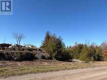 237 TOWER ROAD | Madoc Ontario | Slide Image Three