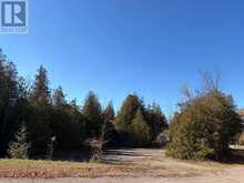 237 TOWER ROAD | Madoc Ontario | Slide Image Five