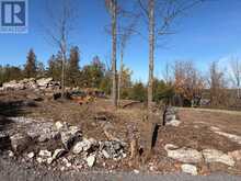 237 TOWER ROAD | Madoc Ontario | Slide Image Six