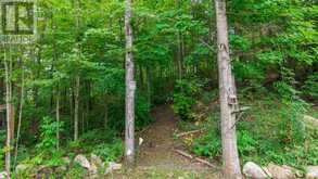 9 CEDAR HILL ROAD | Marmora Ontario | Slide Image Thirty-six