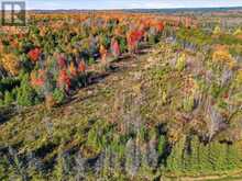 0 RAPIDS ROAD | Tweed Ontario | Slide Image Nine