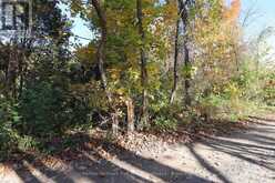 LT 16 SUNSMILE LANE | Tweed Ontario | Slide Image One