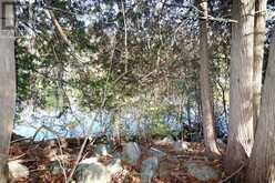 LT 16 SUNSMILE LANE | Tweed Ontario | Slide Image Nine