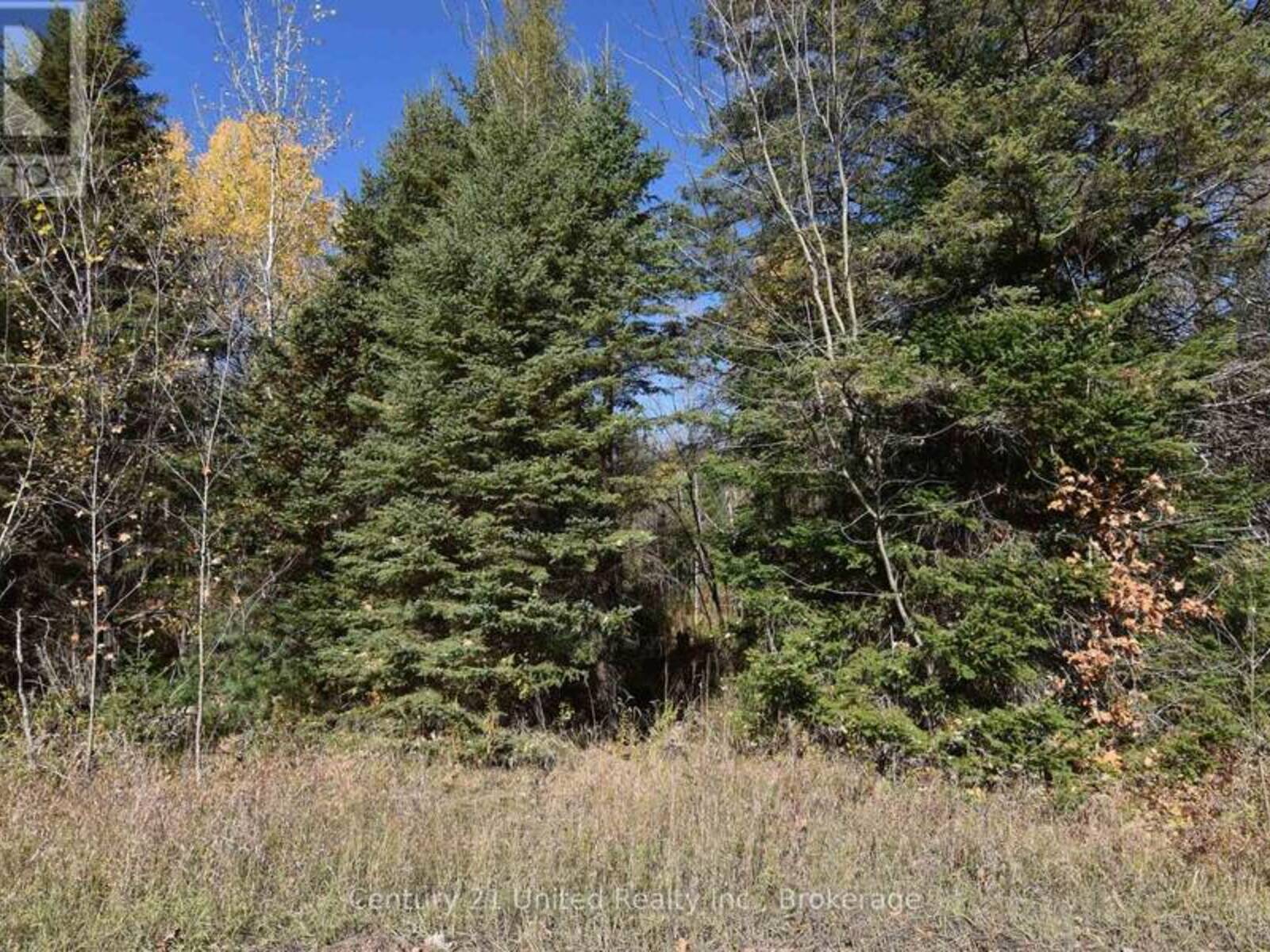 0 HIGHWAY 620, Apsley, Ontario K0L 1A0