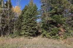 0 HIGHWAY 620 | Apsley Ontario | Slide Image One