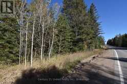 0 HIGHWAY 620 | Apsley Ontario | Slide Image Two