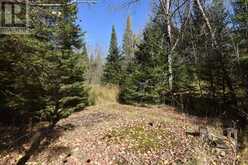 0 HIGHWAY 620 | Apsley Ontario | Slide Image Three