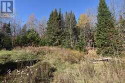 0 HIGHWAY 620 | Apsley Ontario | Slide Image Four