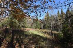 0 HIGHWAY 620 | Apsley Ontario | Slide Image Five
