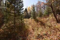 0 HIGHWAY 620 | Apsley Ontario | Slide Image Six
