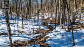 0 HINCHINBROOKE RD N ROAD | South Frontenac Ontario | Slide Image Sixteen