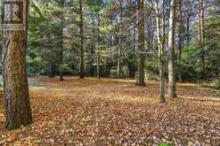 103 WAITE ROAD | Kawartha Lakes Ontario | Slide Image Thirty-three