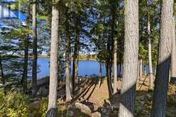7 - 1579 ANSTRUTHER LAKE ROAD | Apsley Ontario | Slide Image Thirty