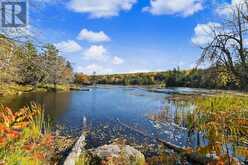 7 - 1579 ANSTRUTHER LAKE ROAD | Apsley Ontario | Slide Image Thirty-one