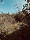 ACROSS FROM 191 HILL TOP ROAD | Hillier Ontario | Slide Image Thirteen