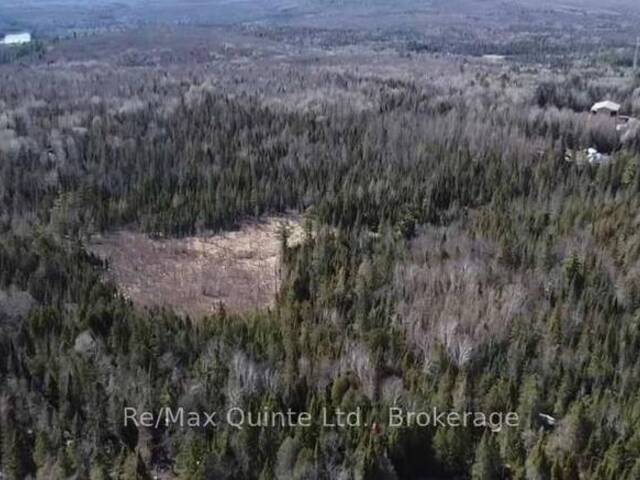 0 HIGHWAY 62 Hastings Highlands Ontario, K0L 2S0 - Vacant Land For Sale