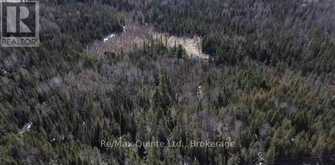 0 HIGHWAY 62 | Hastings Highlands Ontario | Slide Image Two