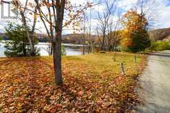 233 TROUT LAKE ROAD | Bancroft Ontario | Slide Image Nineteen