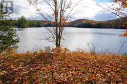 233 TROUT LAKE ROAD | Bancroft Ontario | Slide Image Twenty-two