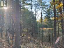 3337 COUNTY RD 46 | Havelock-Belmont-Methuen Ontario | Slide Image Sixteen