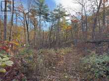 3337 COUNTY RD 46 | Havelock-Belmont-Methuen Ontario | Slide Image Nineteen