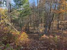 3337 COUNTY RD 46 | Havelock-Belmont-Methuen Ontario | Slide Image Twenty-one