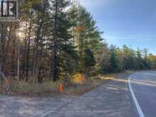 3337 COUNTY RD 46 | Havelock-Belmont-Methuen Ontario | Slide Image Two