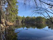 3337 COUNTY RD 46 | Havelock-Belmont-Methuen Ontario | Slide Image Thirty-one