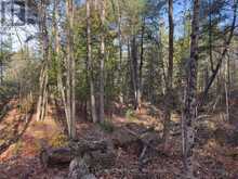 3337 COUNTY RD 46 | Havelock-Belmont-Methuen Ontario | Slide Image Twenty-seven