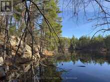 3337 COUNTY RD 46 | Havelock-Belmont-Methuen Ontario | Slide Image Thirty-two