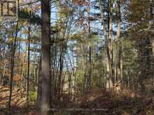3337 COUNTY RD 46 | Havelock-Belmont-Methuen Ontario | Slide Image Thirty-five
