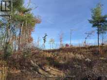 3337 COUNTY RD 46 | Havelock-Belmont-Methuen Ontario | Slide Image Thirty-six
