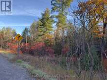 3337 COUNTY RD 46 | Havelock-Belmont-Methuen Ontario | Slide Image Thirty-seven