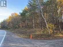 3337 COUNTY RD 46 | Havelock-Belmont-Methuen Ontario | Slide Image Three