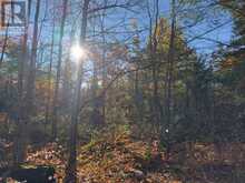 3337 COUNTY RD 46 | Havelock-Belmont-Methuen Ontario | Slide Image Forty