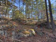3337 COUNTY RD 46 | Havelock-Belmont-Methuen Ontario | Slide Image Forty-one