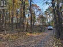 3337 COUNTY RD 46 | Havelock-Belmont-Methuen Ontario | Slide Image Four