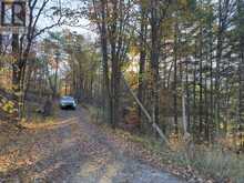 3337 COUNTY RD 46 | Havelock-Belmont-Methuen Ontario | Slide Image Five