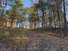 3337 COUNTY RD 46 | Havelock-Belmont-Methuen Ontario | Slide Image Six