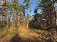 3337 COUNTY RD 46 | Havelock-Belmont-Methuen Ontario | Slide Image Nine