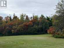 1327 STEWART LINE | Cavan-Monaghan Ontario | Slide Image Eight