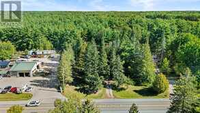 3795 HIGHWAY 28 | North Kawartha Ontario | Slide Image Twenty-eight