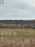 0 ELMDALE ROAD | Cavan-Monaghan Ontario | Slide Image Three