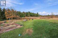 1651 CAMP LINE ROAD | North Kawartha Ontario | Slide Image Thirty-three